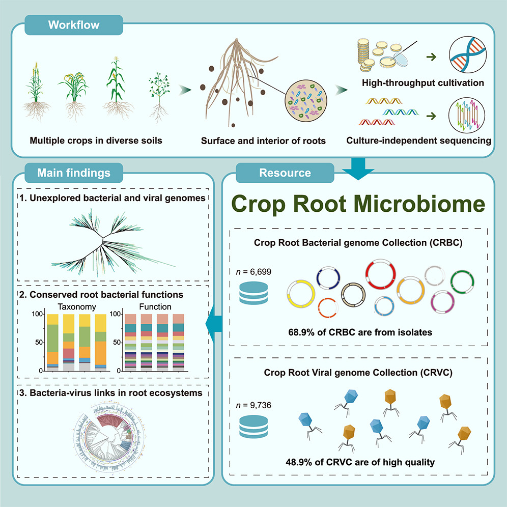 研究方向二图片