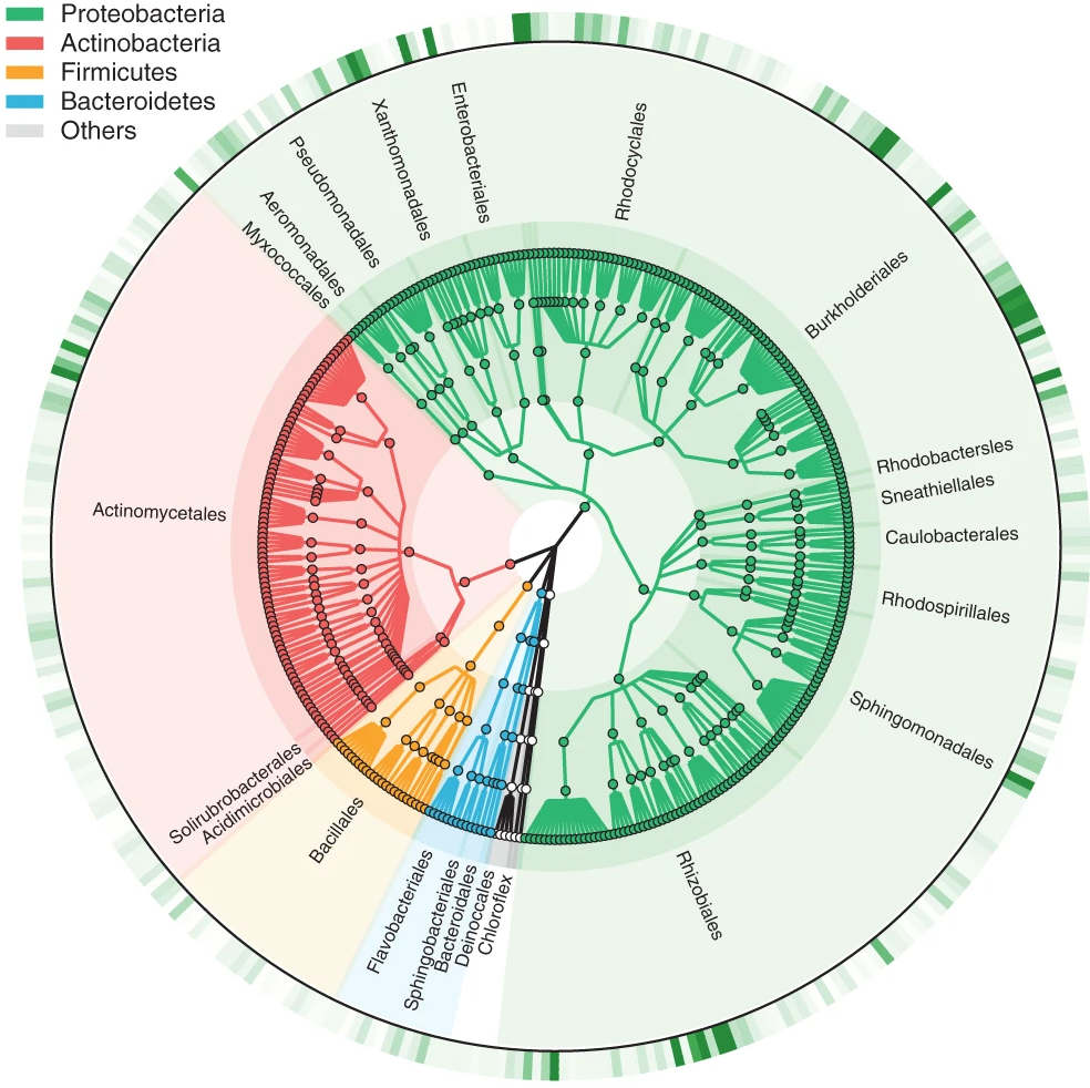 研究方向三图片